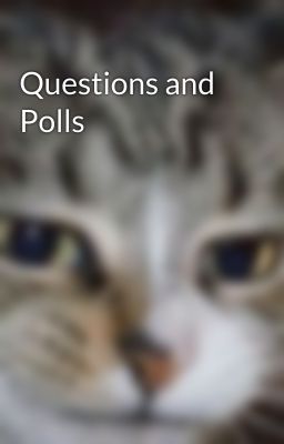 Questions and Polls