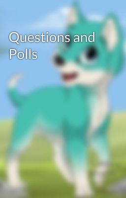 Questions and Polls