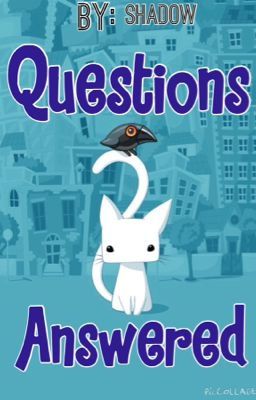 Questions & Answers