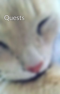 Quests