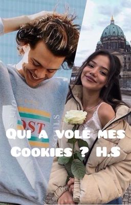 Qui a volé mes cookies !? [h.s]