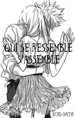 Qui se ressemble s'assemble