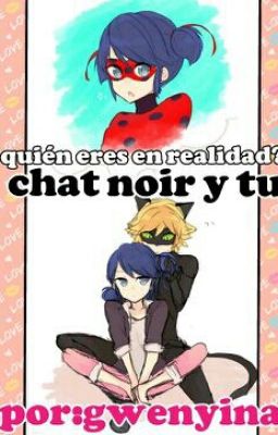 Quién eres en realidad?-chat noir y tu 