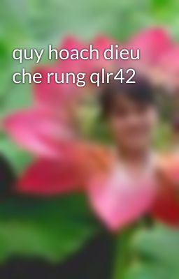 quy hoach dieu che rung qlr42