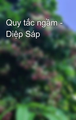 Quy tắc ngầm - Diệp Sáp