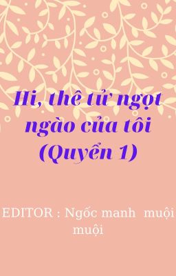 (Quyển 1) Hi, thê tử ngọt ngào của tôi - Lục Khinh Quân