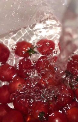 [r18] faran - starry night.