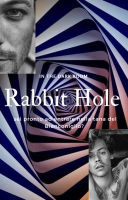 Rabbit Hole - OS Larry Stylinson