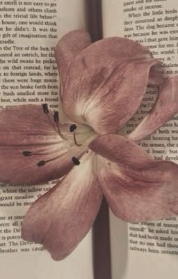 radiostatic / khế ước 