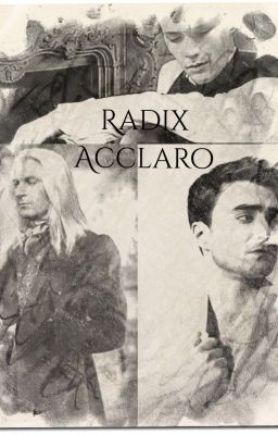 Radix Acclaro