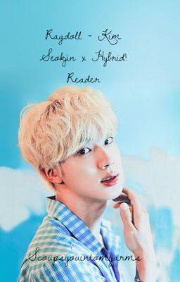 Ragdoll - Kim Seokjin x Hybrid!Reader