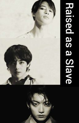 Raised as a Slave//BTS FF//VMinKook//Abgeschlossen//