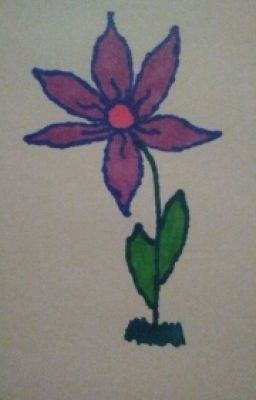 Random Drawings