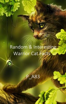 Random & Interesting Warrior Cat Facts