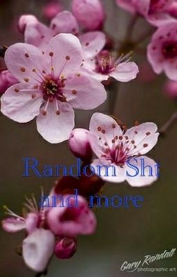 Random Sh×t and more