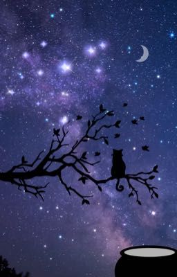 Ranh Giới Ma Thuật