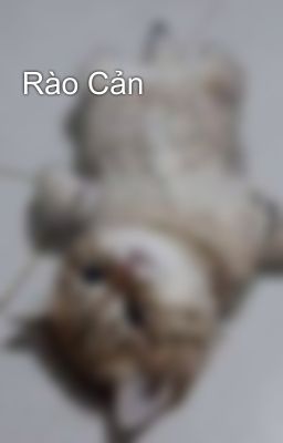 Rào Cản 