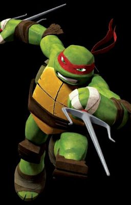 Raph x Reader