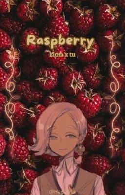 |~Raspberry~| Liam x tu / [Pokémon sol y luna]