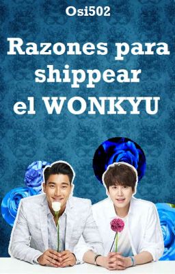 Razones para shippear el WonKyu