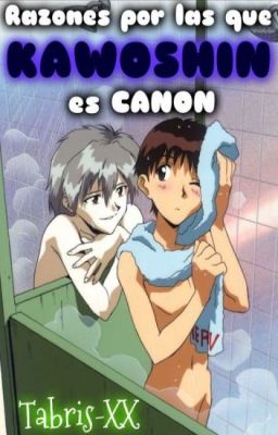 Razones por las que KAWOSHIN es canon