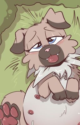 Really Rockruff Sex