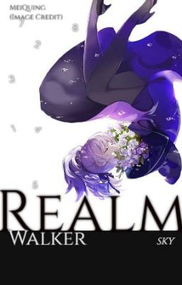 Realm Walker (BNHA Fanfiction)