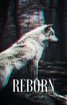 Reborn // Full Moon sequel -- MINI BOOK // *ON HOLD*