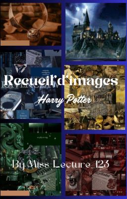 🪄Recueil d'images Harry Potter ⚡️