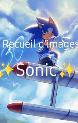 Recueil d'images Sonic