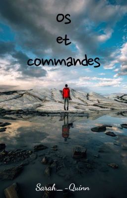 recueil d'os et de commandes