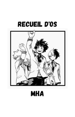 Recueil d'OS | MHA