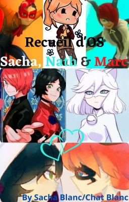 Recueil d'OS Miraculous : Sacha, Nath et Marc