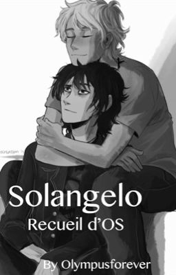 •Recueil d'OS Solangelo•