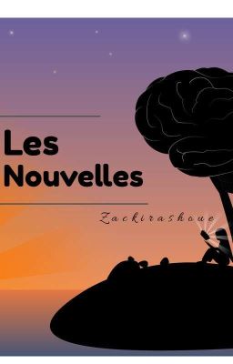 ''Recueil De Nouvelles''  (Nouvelles Terminées)