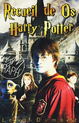 Recueil de os | Harry Potter