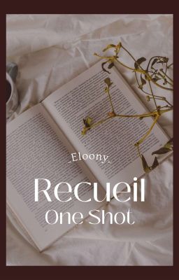 Recueil ONE SHOT