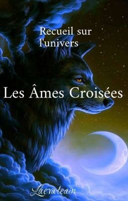 Recueil sur les Âmes Croisées