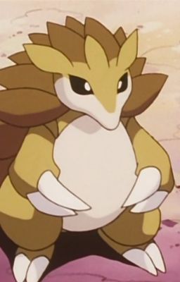 Regular Pokémon OCs