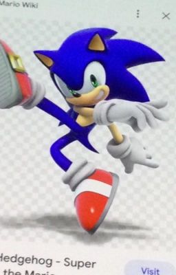 Reincarnated as sonic the hedgehog 