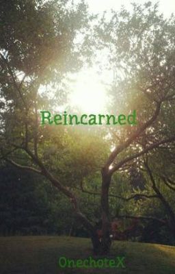 Reincarned