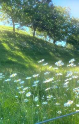 (Rekkyou Sensen fanfic)Kể bạn nghe chuyện OTP của tôi