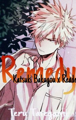 Remedy: Katsuki Bakugou x Reader (Sequel)