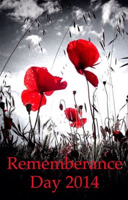 Remembrance Day Poems