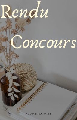 Rendu Concours