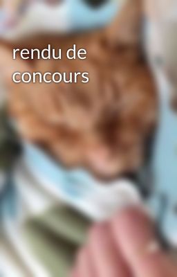 rendu de concours 