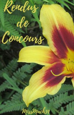 Rendus de concours + commandes