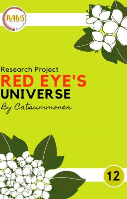 Research Project - Red Eye's Universe