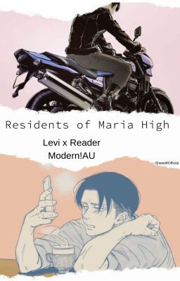 Residents Of Maria High  ~  Levi x Reader Modern!AU ~DISCONTINUED!~