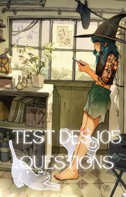 Résultats du test des 105 questions